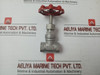 Stainless Steel Gate Valve 1/2 Inch Cf8M In 330 Gm