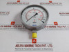 En 837-1 Pressure Gauge 0-300 Psi 0-21 Kg/Cm2 232.50.160 Wika