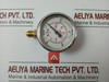 Liquid Filled Gauge By Wika 213.53