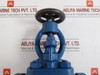 Globe Valve Dn25 In 6.190 Kg