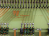 Vingtor Audio Amplifier Module Vp-1700