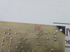 Dynage Printed Circuit Board 01C773-001