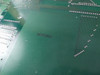 Uf2L11156 U20 Pw5867Aa Pcb Card Ac867 0C