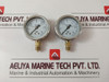 Wika En837-1 Cl. 1,6 Pressure Gauge 0-6 Bar