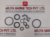 Newage Gasket Set With Oil Seal Ring Set