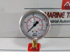 Wika 213.53.063 Pressure Gauge 0-60 Psi