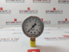 Mass Cs-50-bbb-db Pressure Gauge 0-10 Kg/Cm2