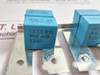 Rifa Phe 448 Capacitor