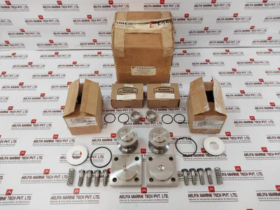 Cameron 2275321-04-99 Double Check Valve Repair Kit 25120-0.2 Rev 01
