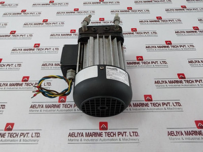 Thomas Picolino Vte 3 Rotary Vane Pump 25130110 - Used Thomas Picolino Vte 3 Rotary Vane Pump 25130110 - Used