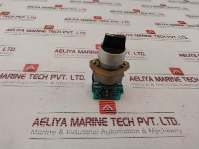 Eao 704.910.3 Switch 500V 10A