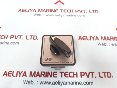 Yongsung C-60 Cam Switch Ac 250V 10A Max 600V