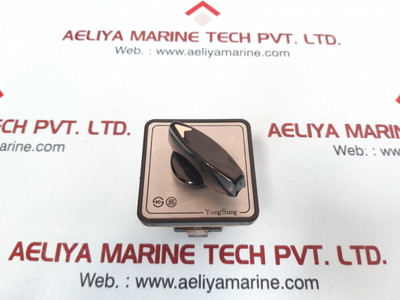 Yongsung C-60 Cam Switch Ac 250V 10A Max 600V