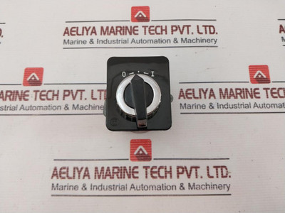 Telemecanique Bvn 10 Cam Switch