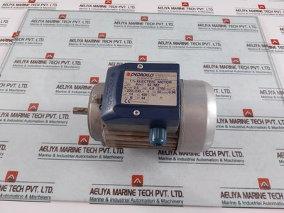 Pedrollo Km1-63/M2 1~ Electric Motor Used Pedrollo Km1-63/M2 1~ Electric Motor Used