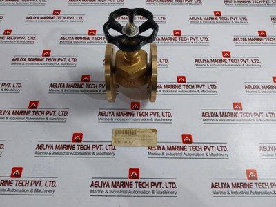 Econosto Fig.275 Globe Valve Dn 25 Pn 16 Rg 5 - New