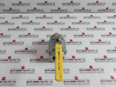 Warren Cf8M 1000Wog Ball Valve Dn65 Stainless Steel 