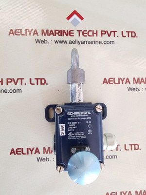Schmersal tq 441-01/01y-ue-r-m20 pull wire switch