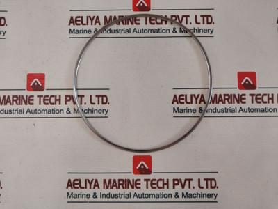 Shinko 7074-12 Governor Valve Liner Gasket - New