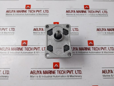 Salami 1Pb1.1D Hydraulic Gear Pump 612870002 1Mf1Pf95G