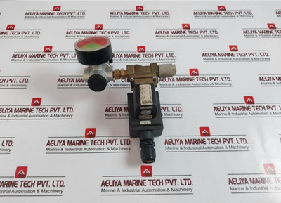 Burkert 5281 A 13,0 Nbr Ms Solenoid Valve, Pressure Gauge, Relief Valve Assembly