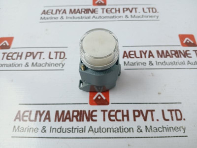 Eao 704.950.0 Panel Mount Indicator Light 380V/2.4W 250V