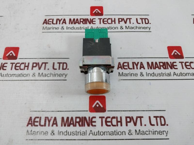 Teknic 2 Lhlr 24 Ac/Dc Push Button Switch 24V 4A Iec/En 60947-5-1, A600 Q600 Teknic 2 Lhlr 24 Ac/Dc Push Button Switch 24V 4A Iec/En 60947-5-1, A600 Q600