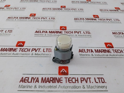 Eao 704.950.0 Illuminated Push Button Switch 250V/2,4W Eao 704.950.0 Illuminated Push Button Switch 250V/2,4W