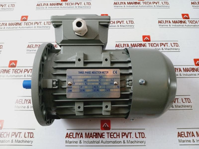 Ye3L63M2-2 Three-phase Induction Motor 0.25Kw 220-240/380-415V 50Hz Ye3L63M2-2 Three-phase Induction Motor 0.25Kw 220-240/380-415V 50Hz