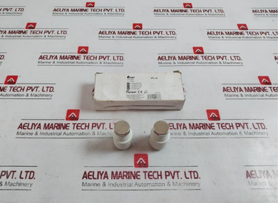 Lot Of 10X Crady Dyfus DIII Bottle Fuse 63A Gg 500Vac 50Ka Iec/En 60269 - New Lot Of 10X Crady Dyfus DIII Bottle Fuse 63A Gg 500Vac 50Ka Iec/En 60269 - New