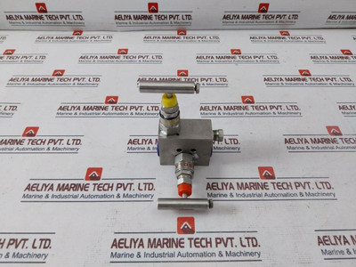 Excelock Svmf20213101 Two Valve Manifold E-7314/2936 E367 Bb-ss316 - New Excelock Svmf20213101 Two Valve Manifold E-7314/2936 E367 Bb-ss316 - New