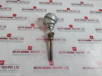 Rtd-pt100 Resistance Bulb 600°C 3/4Pf 99-mm 104.11