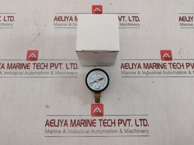 Kins Pressure Gauge 0-0.2 Mpa 0-2 Bar Cl 3.0 600V A.C. Max