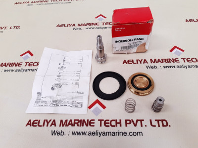 Ingersoll-rand 39123070 Solenoid Valve Repair Kit 481203-270