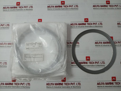 Mitsumoto Gasket For Swing Check Valve Wcb 900Lb 6" Id20 Apsc2011-02367