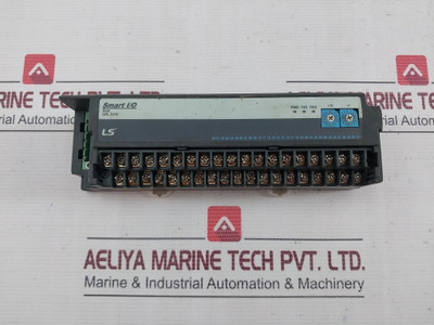 Ls Grl-d24C Digital Input Module 24Vdc 5Ma