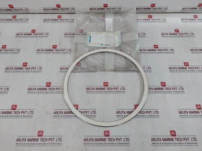 Mitsumoto Swing Check Valve Gasket F3208 1804-na-eoo 5K X 300A