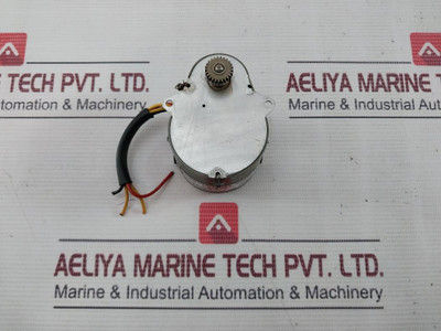 Micro-electric Ms2S Synchronmotor 220V/50-60Hz