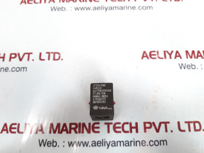 Wam 394002210989 solenoid coil