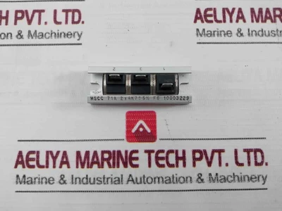 Danotherm Hscc 71A Power Resistor