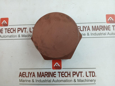 Astm A105 Esp Sch160 3 Npt Carbon Steel Plug 30146878