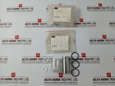 Sae 1931386-02-rk Valve Repair Kit 1/2 2-inlet