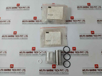 Sae 1931386-02-rk Repair Valve Kit 1/2 2-inlet