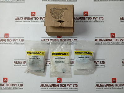 Enerpac Rsm200K50 Standard Repair Kit A8001018Sr