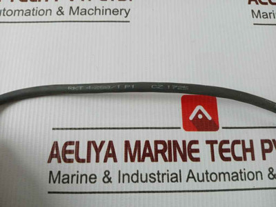 Endress+Hauser Ftl50-ggq2Aa8N3A Liquiphant M Vibronic Point Level Detector 1M.