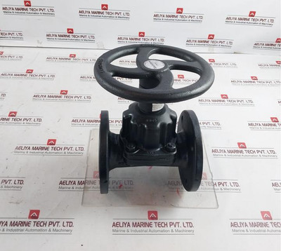 Saunders 445269-001 Crane Diaphragm Valve Dn65 Pn10 10 Bar