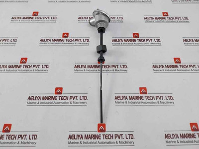 Jumo 2Xpt100 Temperature Sensor