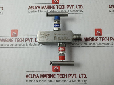 Micro Mpgv32AR-1-cb-p Two Way Manifold Needle Valve 316L Ss 6000Psi