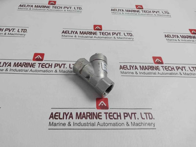 3/4" Cf8m Non Return Valve W5-rm2