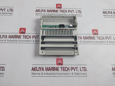 Barber-colman Dsdo-16000-000-0-00 IO Base 24Vdc